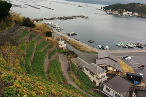 Uwajima (Ehime)