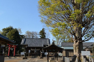 Oizumi (Gunma)