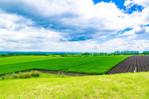 Kushiro (Hokkaido)