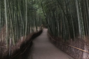 Sanda (Hyogo)