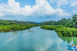 Higashi (Okinawa)