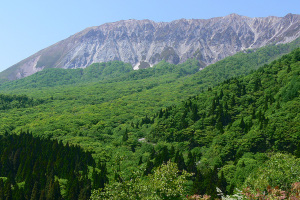 Kofu (Tottori)