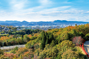 Tajima