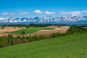 Tokachi District