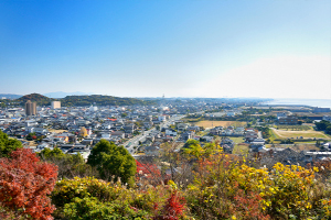 Arao