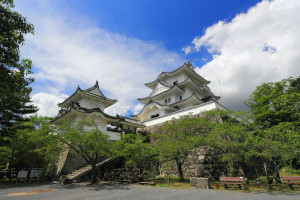 Tsu
