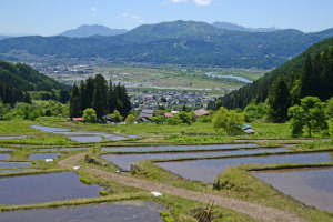 Iiyama