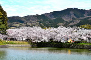 Tenri