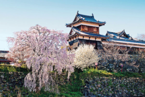 Yamatokoriyama