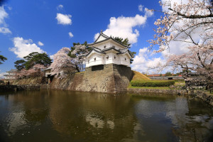 Shibata City