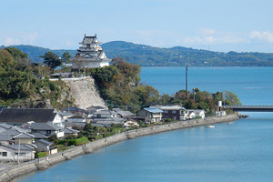 Kitsuki