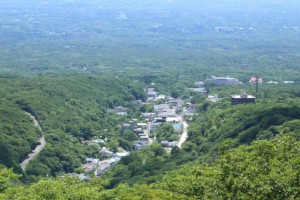Nasu