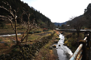 Hinode