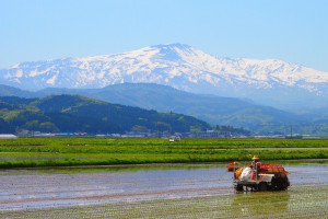 Shonai Town